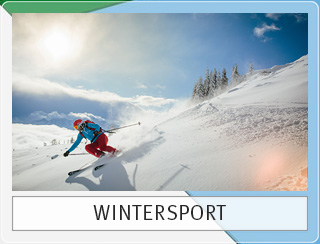 Wintersport